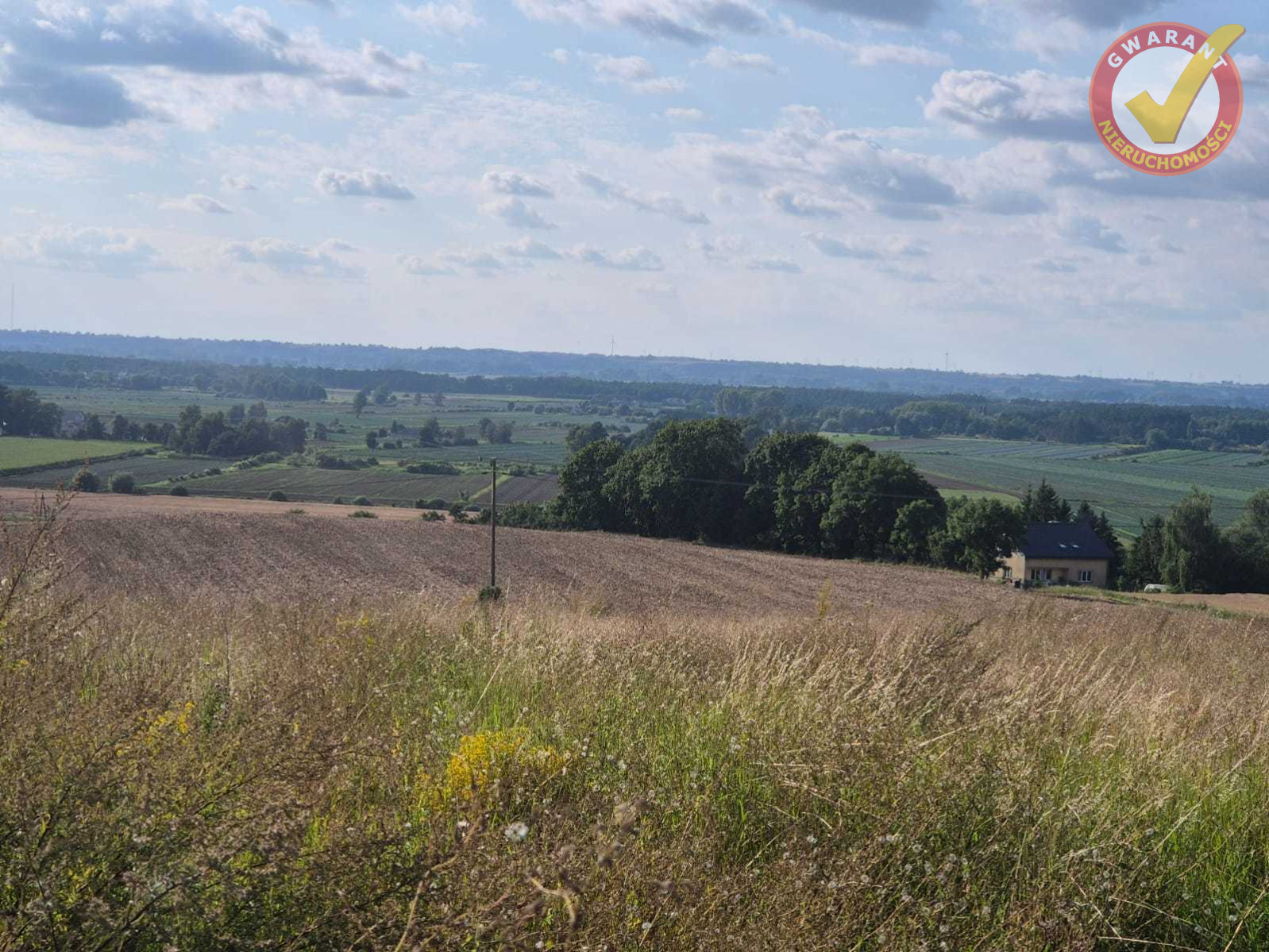 Działka Sprzedaż Unisław Żwirki i Wigury 2