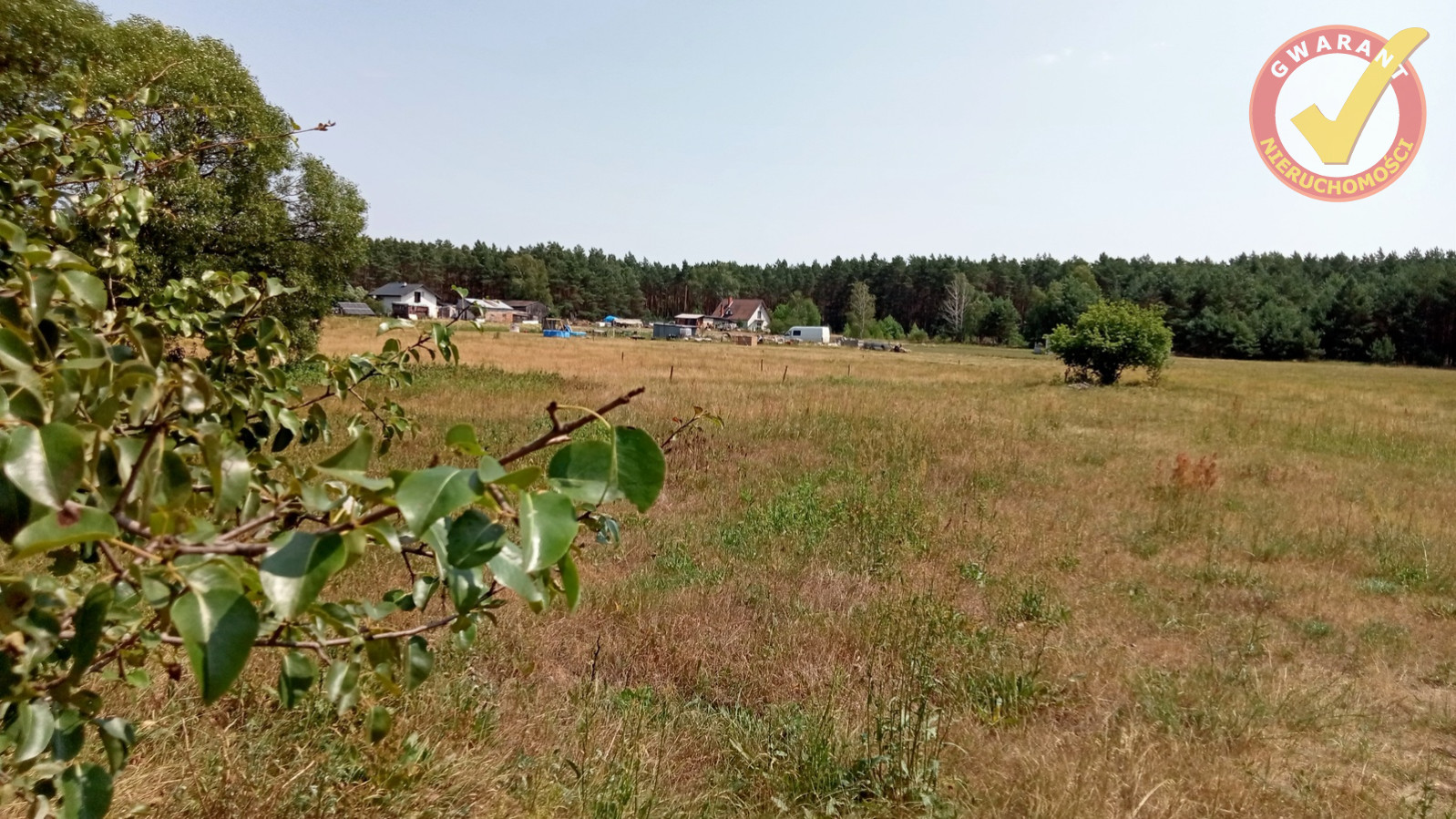 Działka Sprzedaż Obory Leśna 4