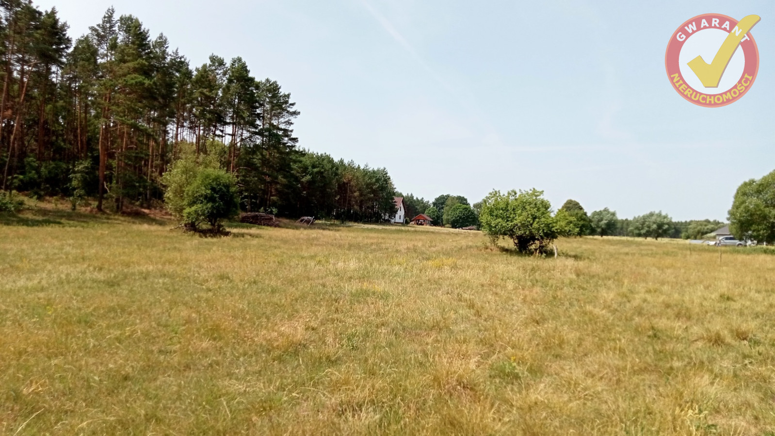 Działka Sprzedaż Obory Leśna 1