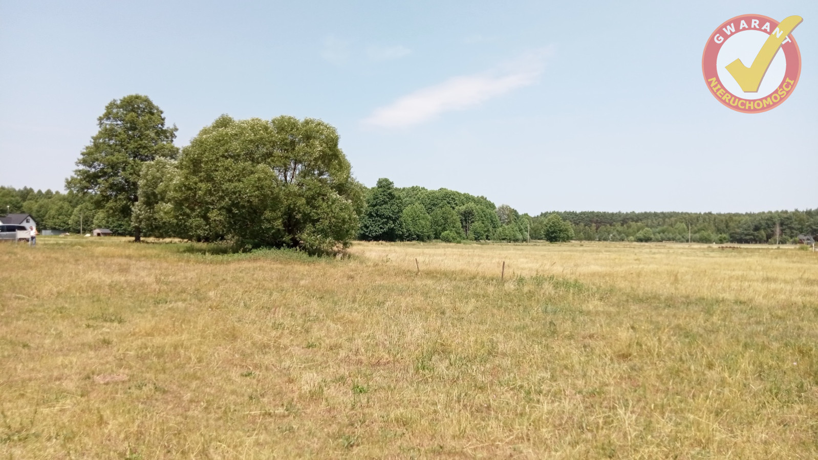 Działka Sprzedaż Obory Leśna 6