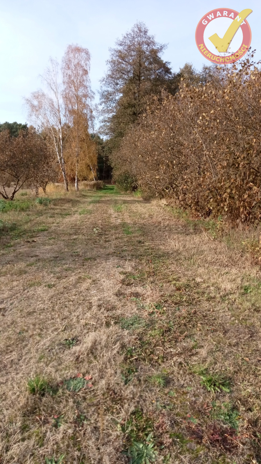 Działka Sprzedaż Czarne Błoto 4