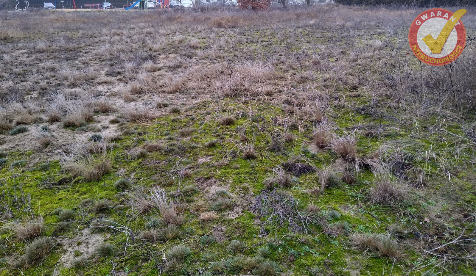Działka Sprzedaż Toruń Grębocin Nad Strugą 1