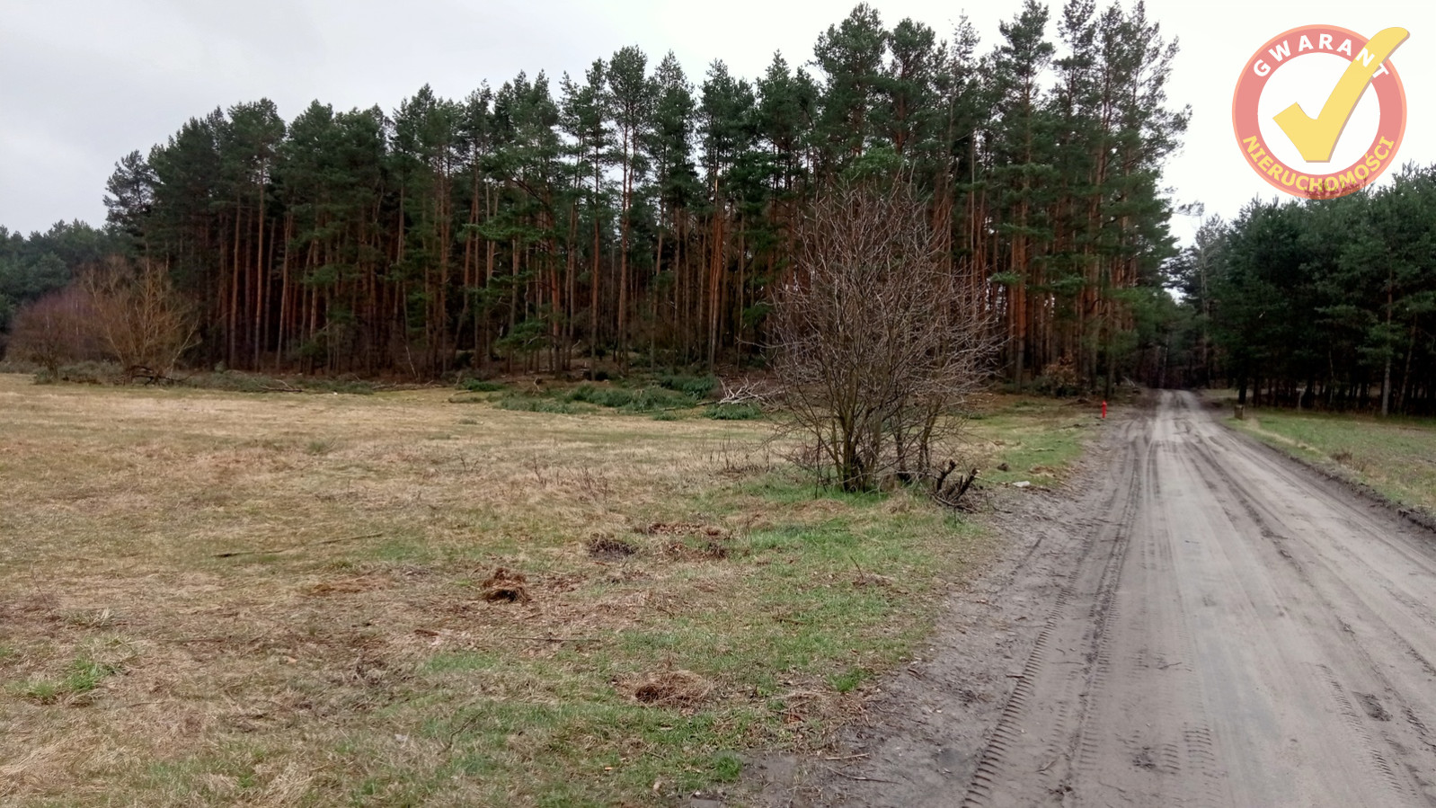 Działka Sprzedaż Obory Leśna 5