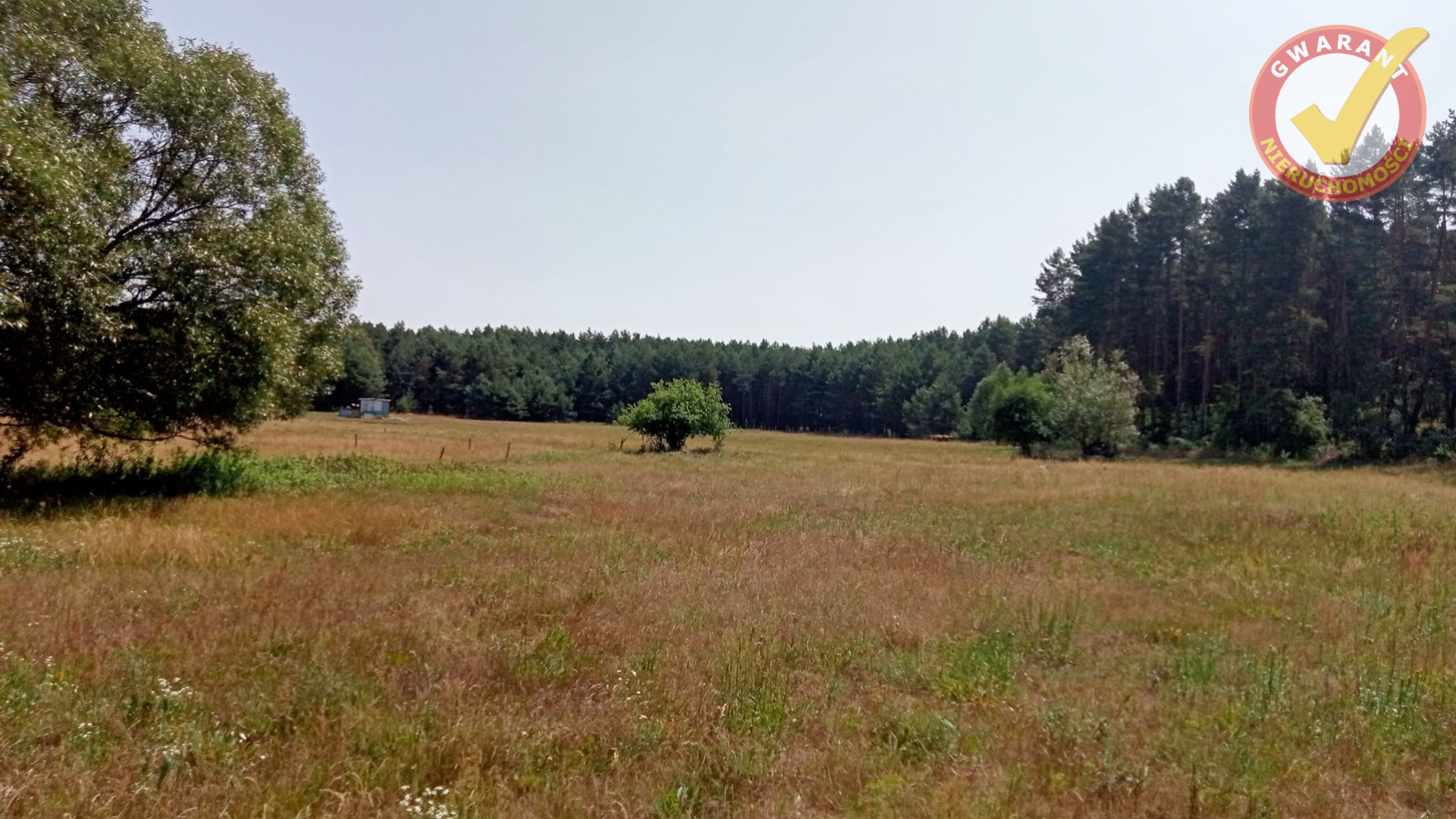 Działka Sprzedaż Obory Leśna 3