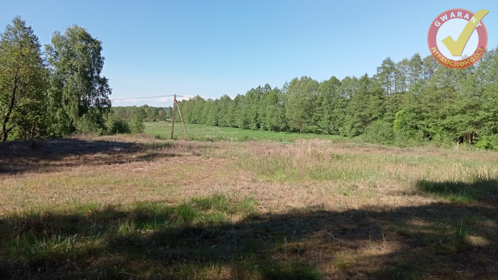 Działka Sprzedaż Cierpice 2