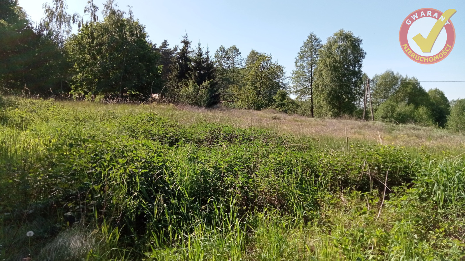 Działka Sprzedaż Cierpice 6