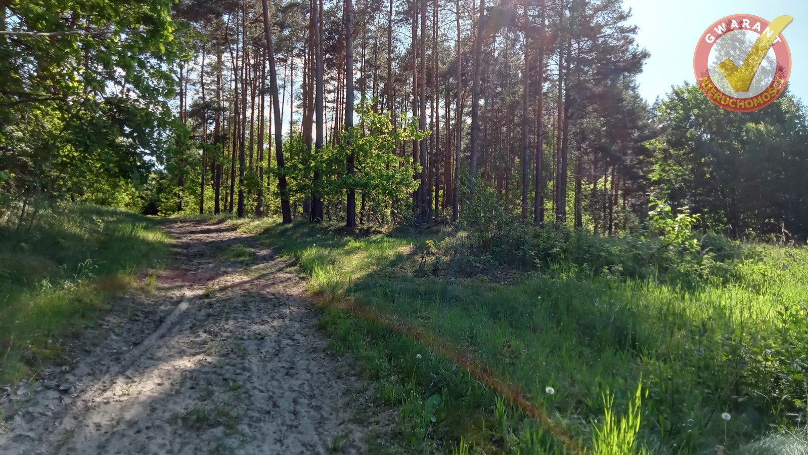 Działka Sprzedaż Cierpice 8