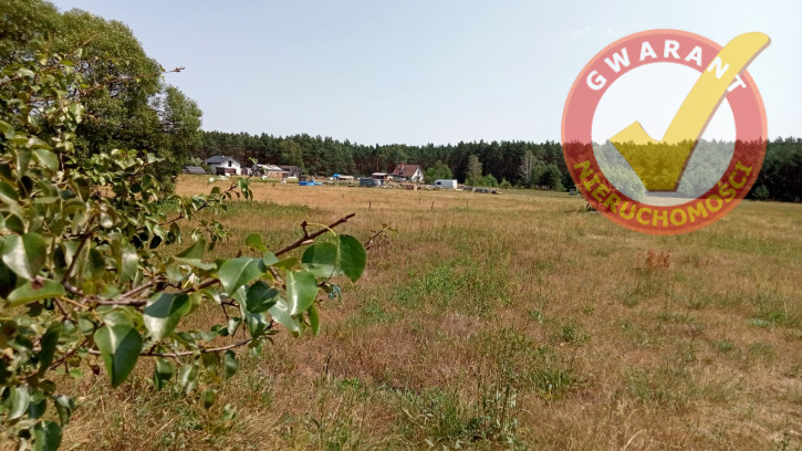 Działka Sprzedaż Obory Leśna 4