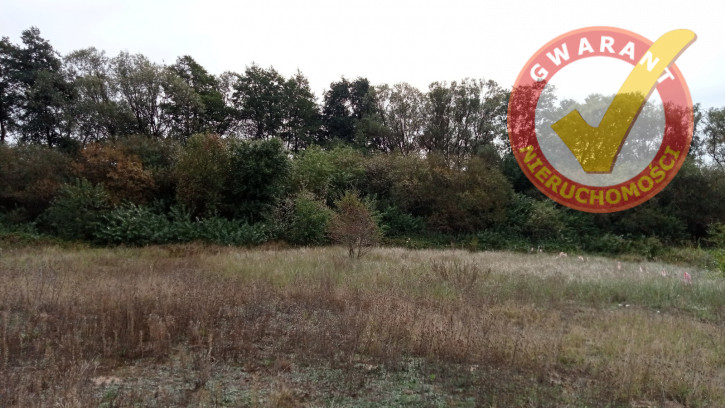 Działka Sprzedaż Toruń Grębocin Nad Strugą Lidzbarska 3