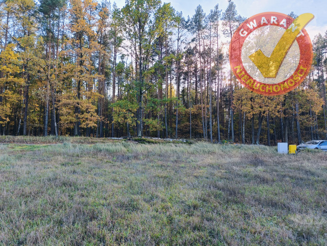 Działka Sprzedaż Rozgarty Osikowa 1