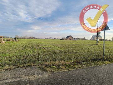 Działka Sprzedaż Brąchnowo Dożynkowa