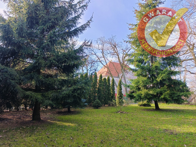 Mieszkanie Sprzedaż Kowalewo Pomorskie 17
