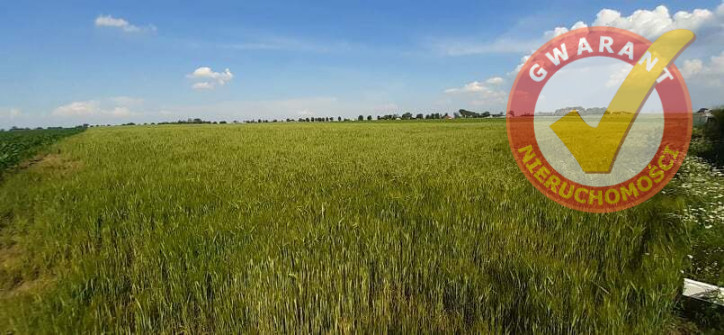 Działka Sprzedaż Biskupice Cicha 3