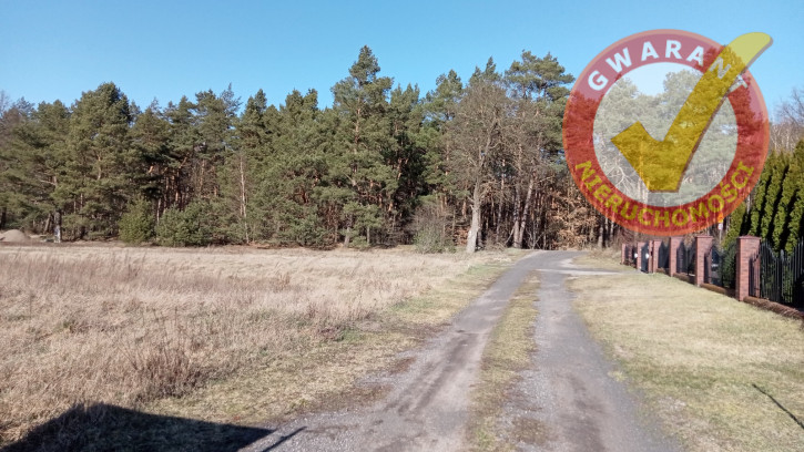 Działka Sprzedaż Czarne Błoto 6