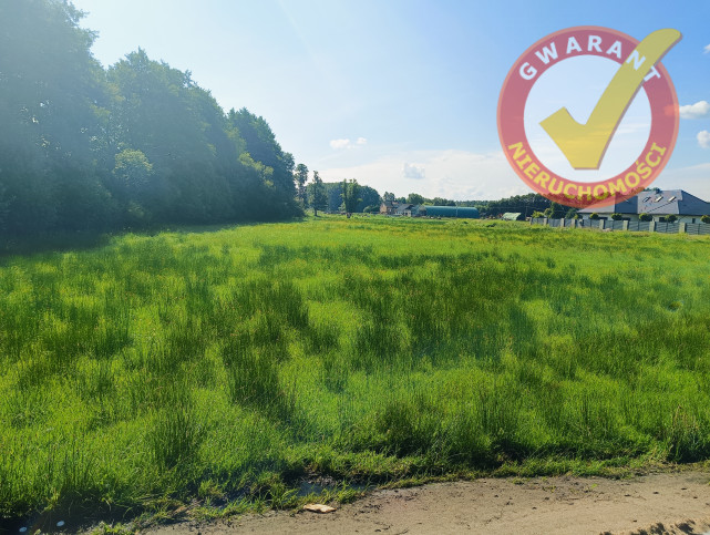 Działka Sprzedaż Rozgarty 2