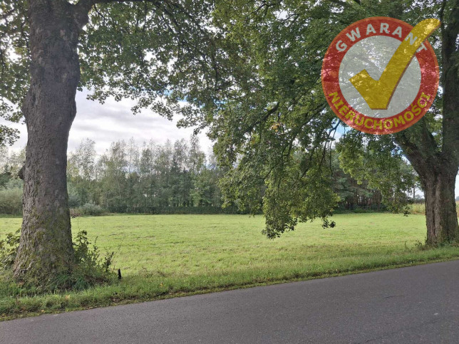 Działka Sprzedaż Kamionki Duże 2