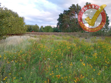 Działka Sprzedaż Dzikowo Nadwiślańska