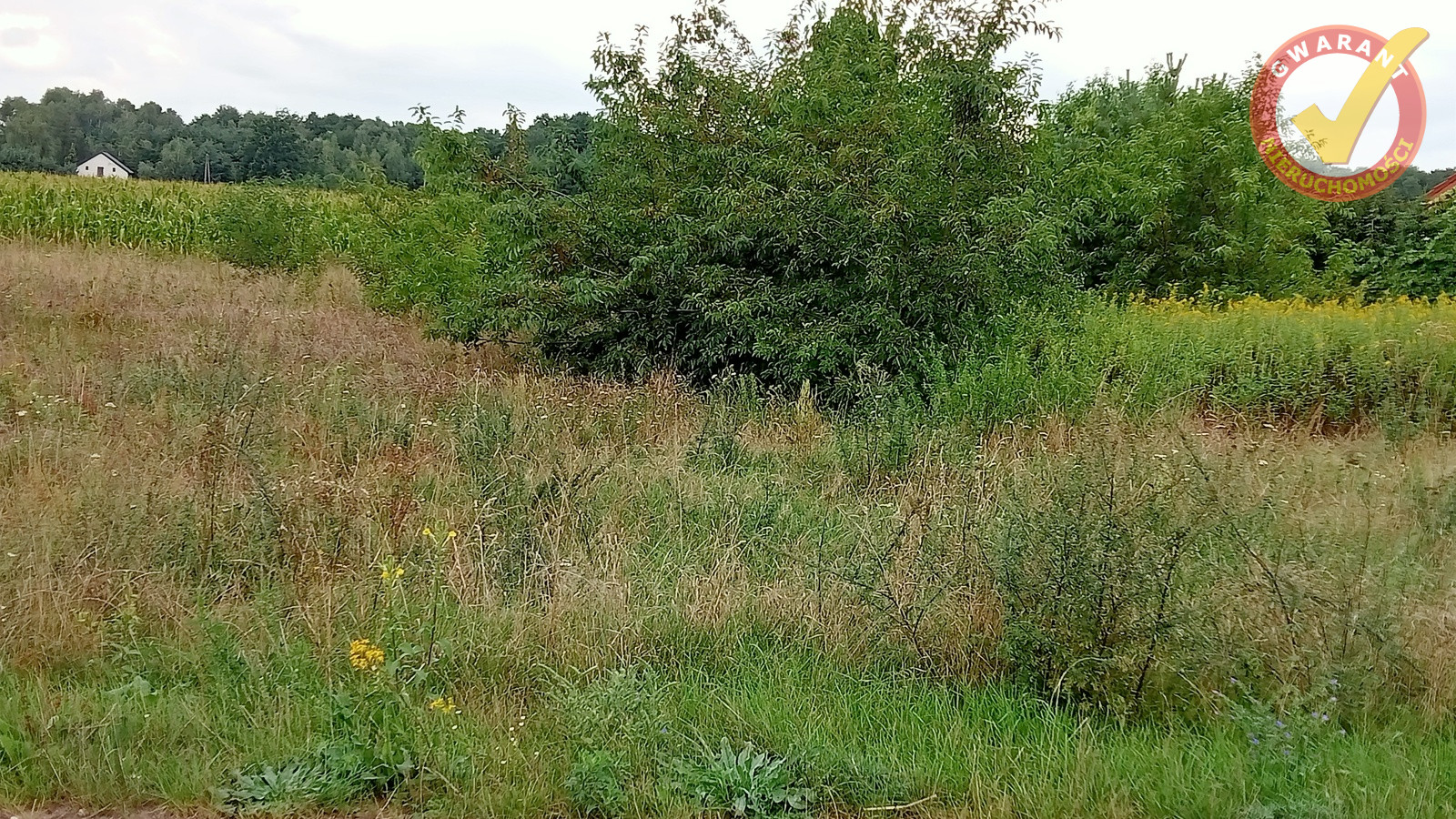 Działka Sprzedaż Głogowo