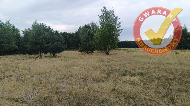Działka Sprzedaż Zamek Bierzgłowski Sosnowa 1