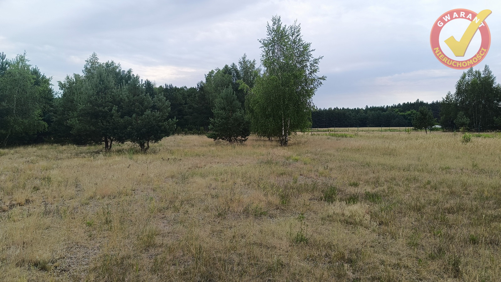 Działka Sprzedaż Zamek Bierzgłowski Sosnowa