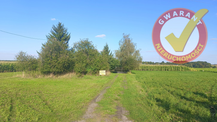 Dom Sprzedaż Zamek Bierzgłowski św. Jadwigi 2