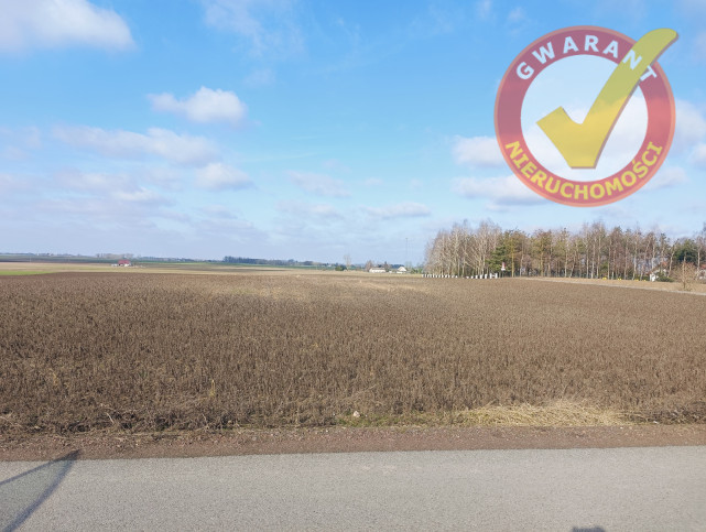 Działka Sprzedaż Dźwierzno 1