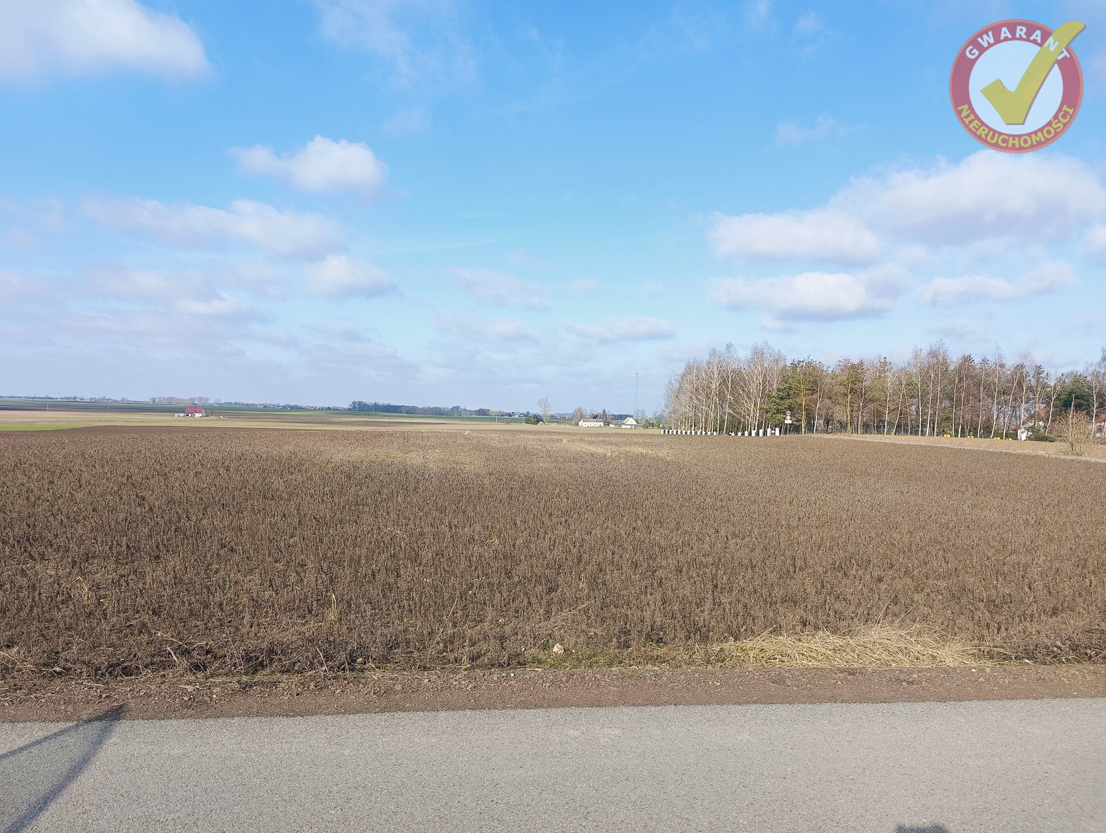 Działka Sprzedaż Dźwierzno