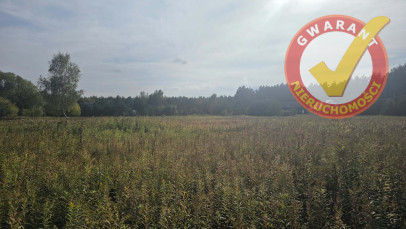 Działka Sprzedaż Czarne Błoto Prosta