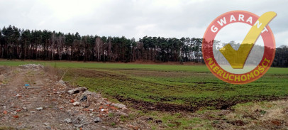 Działka Sprzedaż Zarośle Cienkie