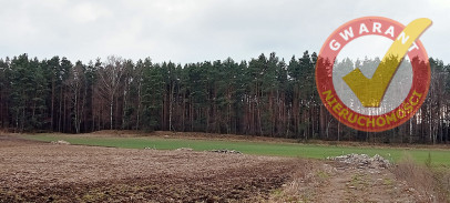 Działka Sprzedaż Zarośle Cienkie