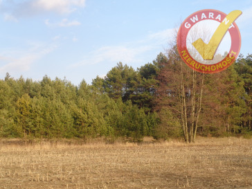 Działka Sprzedaż Zarośle Cienkie