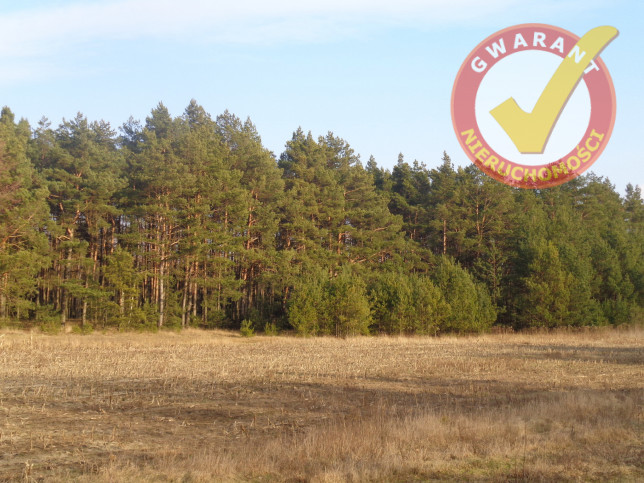 Działka Sprzedaż Zarośle Cienkie 4