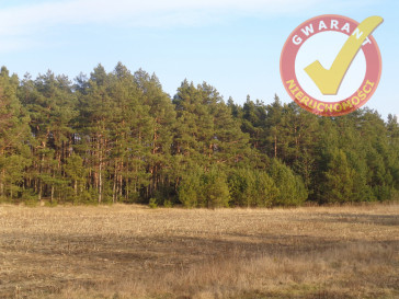 Działka Sprzedaż Zarośle Cienkie