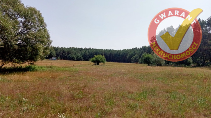 Działka Sprzedaż Obory Leśna 3