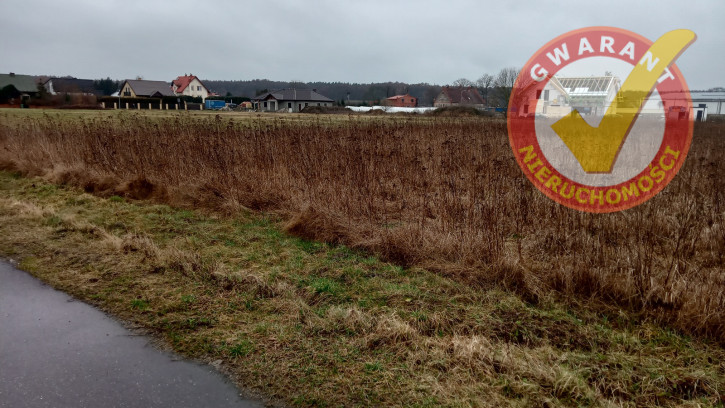 Działka Sprzedaż Wielka Nieszawka Mennonitów 4