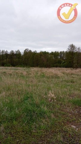 Działka Sprzedaż Wielka Nieszawka 3