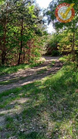 Działka Sprzedaż Cierpice 10